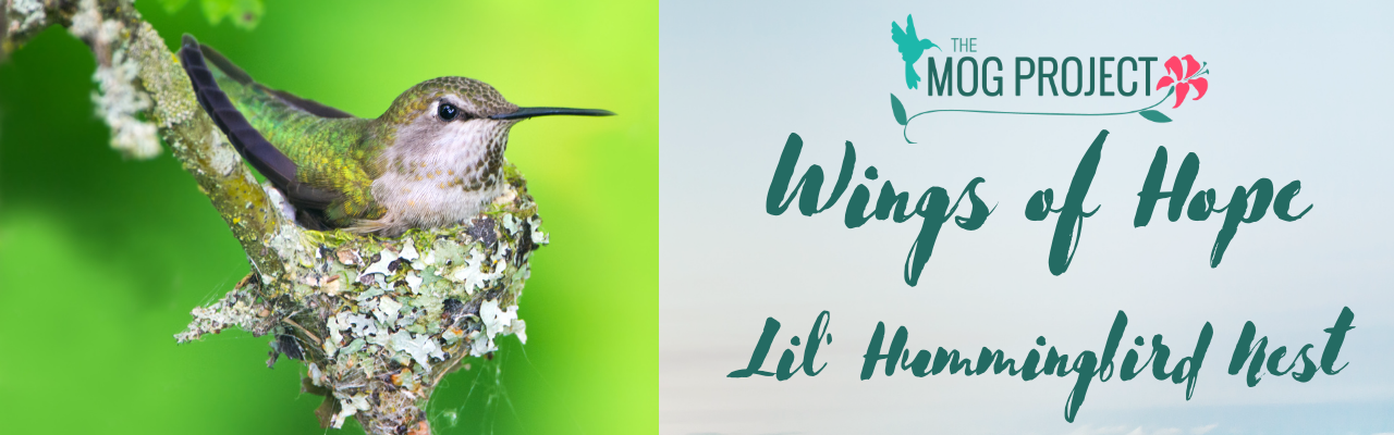 Wings of Hope Lil' Hummingbird Nest Banner with The MOG Project Logo and an image of a hummingbird sitting on her tiny nest