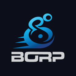 Image is a blue graphic of a person in a wheelchair propelling forward.The word BORP is underneath.