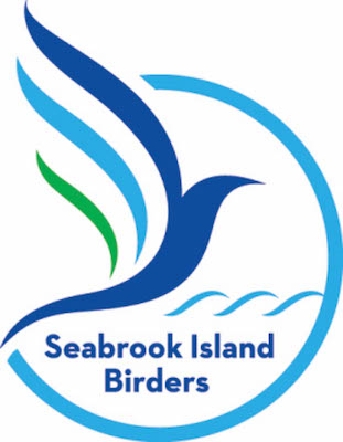 Meeting logo