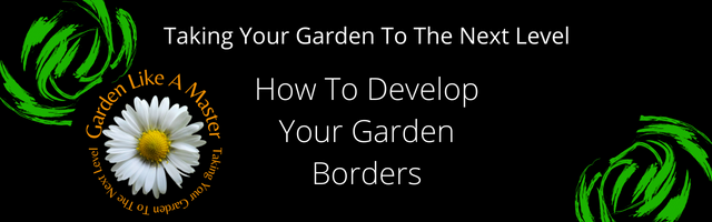 Here we look at the best ways to make the most of your garden borders. From growing conditions, planting out and plant combinations.