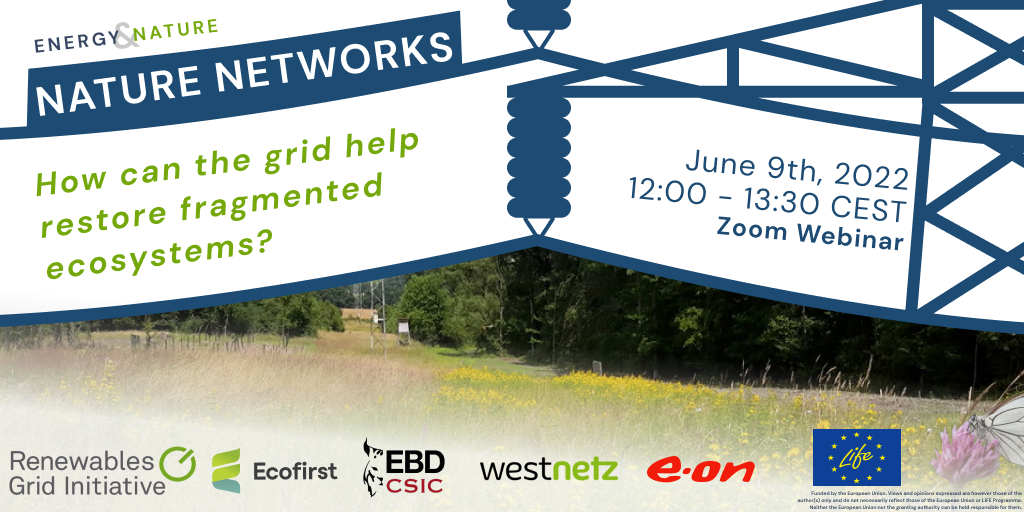 Our first Energy & Nature webinar takes a deep-dive into the intersection of energy infrastructure and biodiversity with a focus on how the grid can reconstruct fragmented ecosystems.