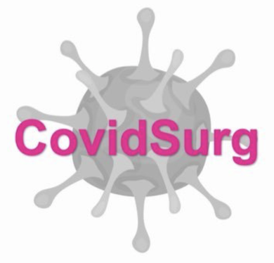 Webinar logo
