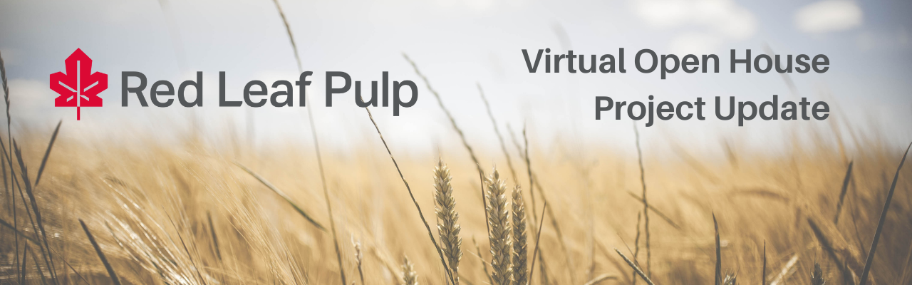 Red Leaf Pulp: Virtual Open House - Project Update banner
