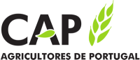 Webinar logo