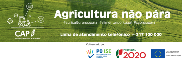 Webinar banner