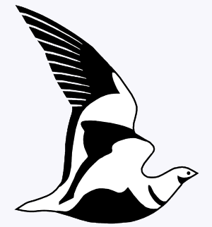 OSME logo (Black-bellied Sandgrouse)