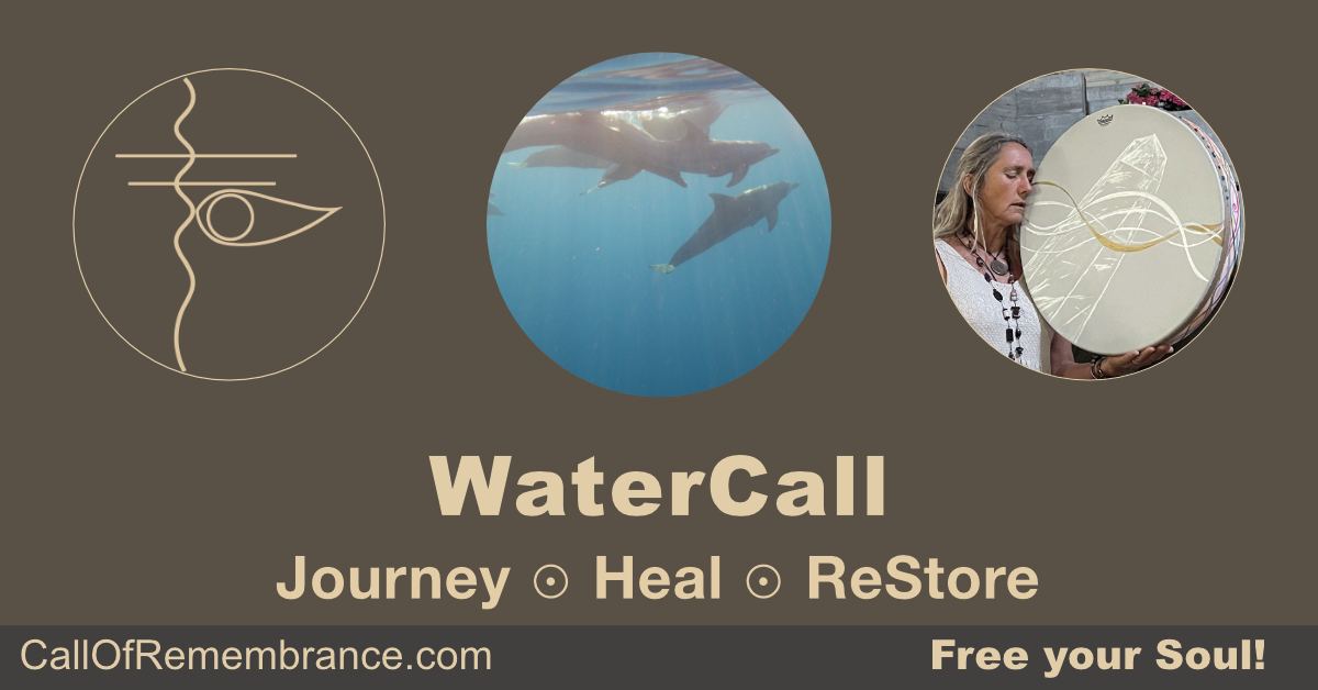 The water is calling us, it wants to communicate with us, be healed, heal and wishes for us to be in beautiful gatherings. We are happy to answer this call and regularly immerse ourselves in its wisdom. Meditation and healing for, by and with the water as 
