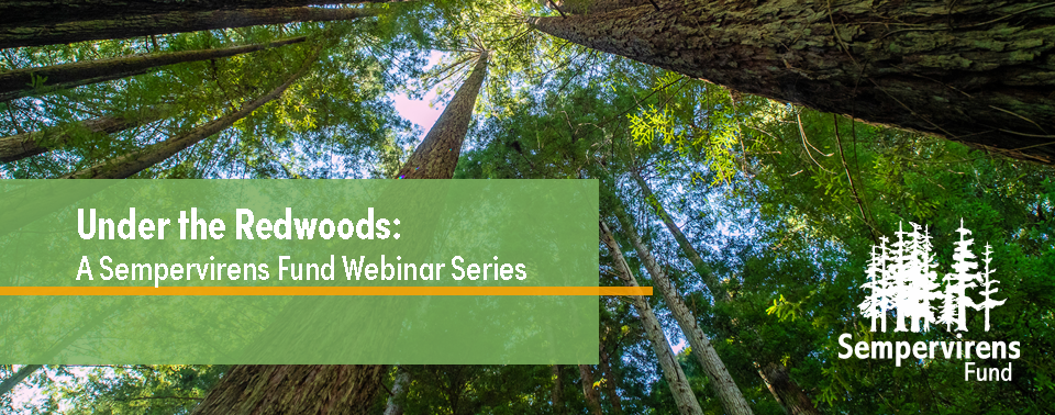Under the Redwoods: A Sempervirens Fund Webinar Series, sponsored by Stadia Capital Group