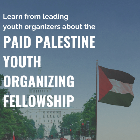 In white the graphic reads 'Learn from leading youth organizers about the paid Palestine youth organizing fellowship' on top of a blue sky background with a large Palestinian flag and an image of the US Capitol
