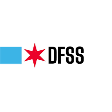 DFSS logo
